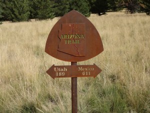 Arizona Trail Tag 4